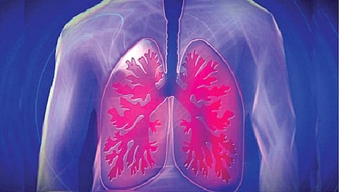 फुफ्फुसांच्या आरोग्यासाठी काय खावे?
