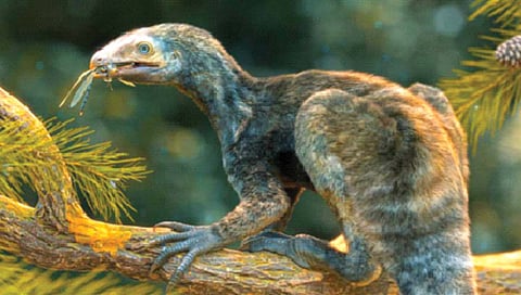 Animal fossils : तब्बल 23 कोटी वर्षांपूर्वीच्या प्राण्याचे जीवाश्म