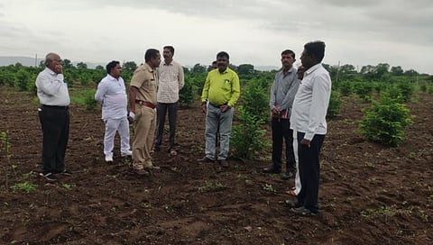 जेष्ठ कवी पदमश्री ना.धों महानोर यांच्यावर मुळगावी पळसखेड्यात होणार अंत्यविधी