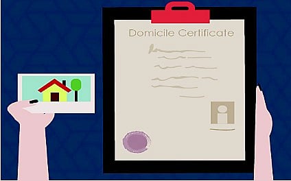 पिंपरी : डोमिसाईल, उत्पन्न दाखल्यांसाठी नागरिकांची धावपळ