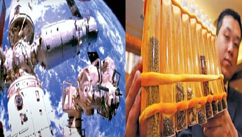 चीन चक्क अंतराळात करणार शेती?