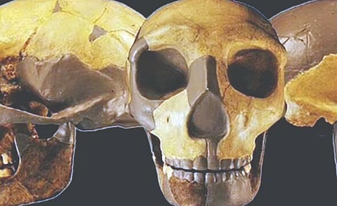 चीनमध्ये मानवाच्या वेगळ्या प्रजातीचा शोध?