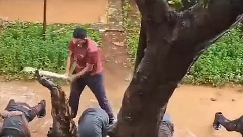 Horrific Thane Video | ठाण्याच्या जोशी बेडेकर कॉलेजमधील ‘त्या’ व्हायरल व्हिडिओचे विधानसभेत पडसाद