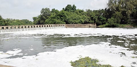 पिंपरी : पवना नदीचे पात्र पुन्हा फेसाळले