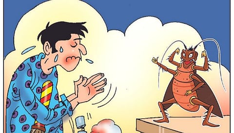 लवंगी मिरची : मिनी बाहुबली!