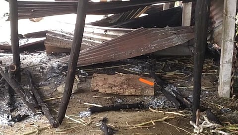 हिंगोली : डोंगरकडा येथे गोठयाला आग; गाईचा जागीच मूत्यु तर वासरू सुखरुप