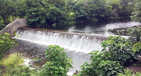 पेठ : भावडीचा बंधारा वाहू लागला