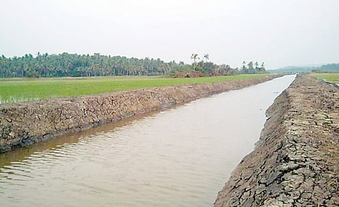 पुण्याच्या मंडळींचे नियमावर बोट! तलावांत कुकडीचे पाणी सोडण्यास विरोध