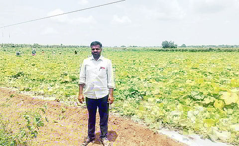 इंदापूर : दोडक्याच्या पिकासाठी केलेला तारांचा मांडव तोडला