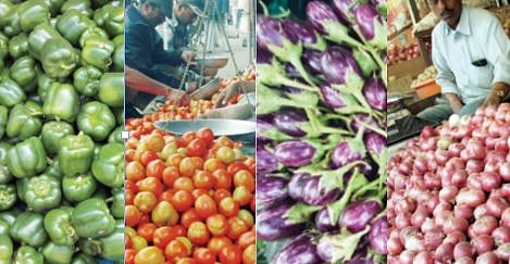 फळभाज्यांची स्वस्ताई ! कांदा, टोमॅटो, काकडी, कारली, दोडका, वांगी, ढोबळी मिरची, घेवडा स्वस्त