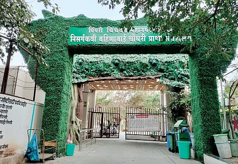 पिंपरी : प्राणिसंग्रहालयावर वारेमाप खर्च; सात वर्षांपासून प्रवेशद्वाराला टाळे