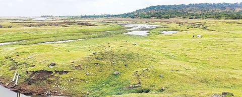 चिंता वाढली ! उजनी धरण जानेवारीत महिन्यातच उणे पातळीवर