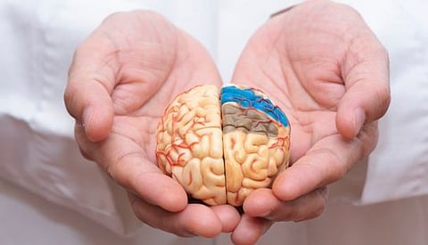 प्रातिनिधिक छायाचित्र.