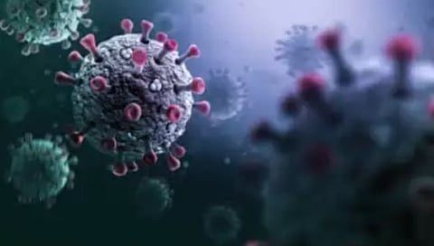 Disease X आहे कोरोनापेक्षाही २० पटीने जीवघेणा; ५ कोटी लोकांचा होऊ शकतो मृत्यू, तज्ज्ञांचा इशारा