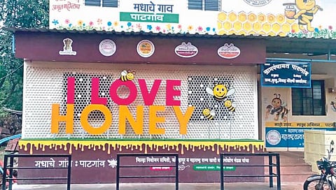 ‘मधाचे गाव पाटगाव’ला ‘सर्वोत्कृष्ट ग्रामीण पर्यटन गाव’ नामांकन