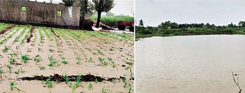 Rain News : निरा-भीमा परिसरात विक्रमी पाऊस