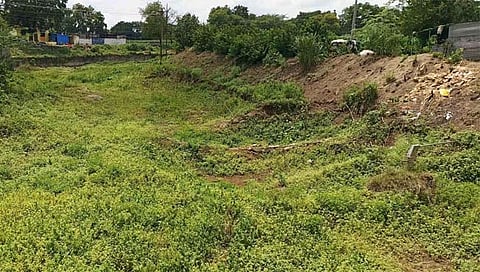 Bail Pola 2023 : बैलपोळा सणावर दुष्काळाचे सावट; बादलीभर पाण्यात बैलांची आंघोळ