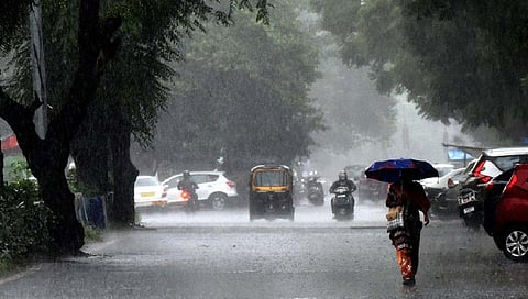 कोल्हापूर जिल्ह्यात यावर्षी 44 टक्के कमी पाऊस