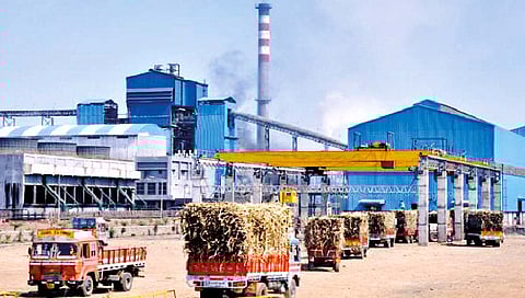 ऊस उत्पादक-कारखानदारांत यंदा संघर्षाची चिन्हे