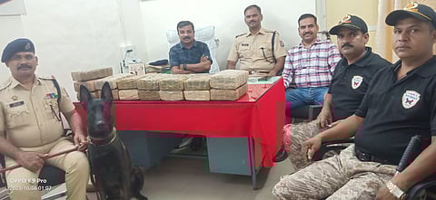 जिगरबाज ! श्वान ‘द्रोणा’ ने पकडला कोणार्क एक्सप्रेसमधील 32 किलो गांजा
