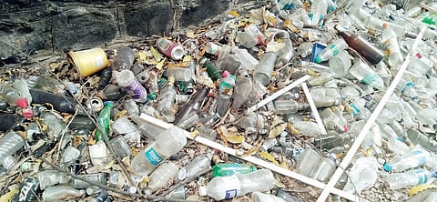 Pune News : ‘समाज कल्याण’च्या आवारात झिंगझिंग झिंगाट; कर्मचारी, खासगी व्यक्तींनी बनवला दारू अड्डा