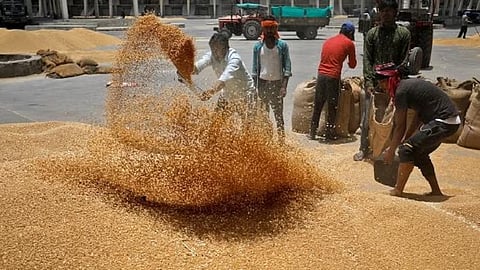 गव्हाची गोदामे रिकामी झाल्यामुळेच एमएसपी वाढ : काँग्रेसचा आरोप