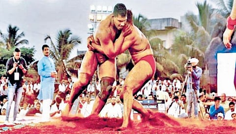 Maharashtra Kesari : दोन महाराष्ट्र केसरीमुळे पैलवान संभ्रमात; कुस्ती शौकीनही गोंधळात