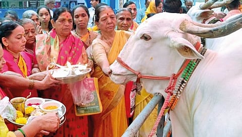 सातारा : प्रकाशपर्वाला प्रारंभ; गोवत्स पूजनाचा चैतन्यदायी सोहळा