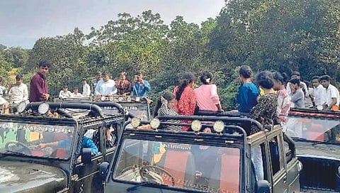 दाजीपूर अभयारण्य