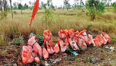 कोल्‍हापूर : बोरवडे शिवारात दगडी मूर्तींची अघोरी पूजा; अज्ञाताकडून प्रकार, गावात भीतीचे वातावरण