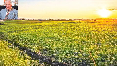 जगातील 16 टक्के भूभागाची मालकी असणारे वतनदार!