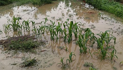 आडगावात अवकाळी पावसाने नुकसान