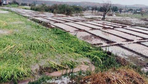 अवकाळीची वक्रदृष्टी ! नऊ जनावरे दगावली… 25 घरांची पडझड