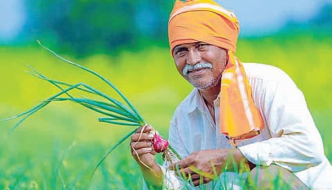 शेतकर्‍यांना एक रुपयात रब्बी पीकविम्याचा लाभ