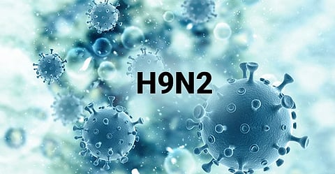 H9N2 Avian Influenza Virus : चीनी एव्हिएन इन्फ्लुएन्झावर भारत सरकारचे बारकाईने लक्ष