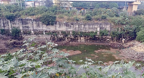 Pimpri News :‘त्या’ डबक्यातील पाणी काढले