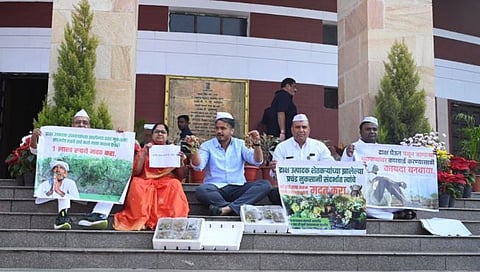 द्राक्षांना एकरी १ लाख मदत द्या : सुमन पाटील यांचे विधान भवनासमोर आंदोलन