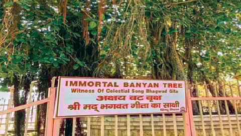 Bhagavad Gita : ‘या’ ठिकाणी श्रीकृष्णाने सांगितली होती गीता!