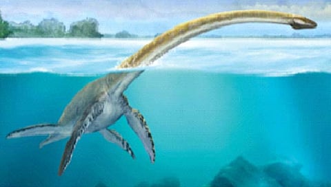 रहस्यरंजन : पाण्यातील भयंकर राक्षसी जीव