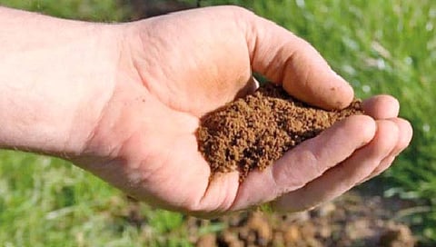 Natural Farming : नैसर्गिक शेतीकडे वाढता कल