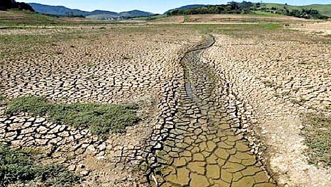 दुष्काळी भागातील पीक कर्जवसुलीस स्थगिती