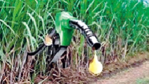 Sugar Cane Juice : उसाचा रस, मोलॅसिसपासून इथेनॉल निर्मितीस परवानगी