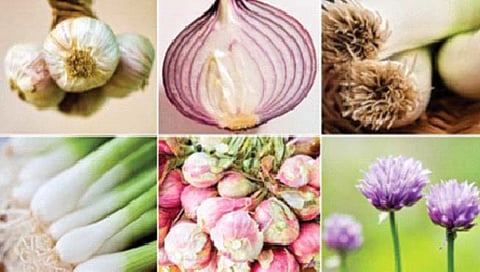 आहारातील कांद्याचा वापर चार हजार वर्षांपासून!