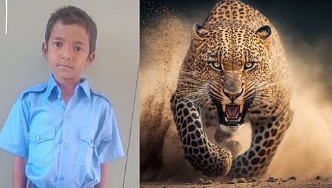 Nashik Leopard Attack : पठ्याने, शौच्याच्या बादलीने दोन बिबट्यांना हुसकावले ; नऊ वर्षाच्या अभिषेकचे शौर्य
