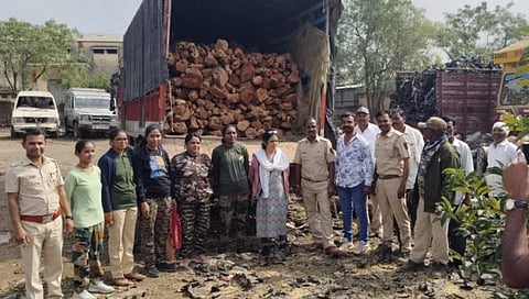 Dhule Crime : खैर लाकडाच्या तस्करीचा पर्दाफाश, ट्रकसह 11 लाखांचा मुद्देमाल जप्त