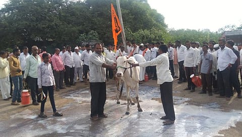 सोलापूर : केम येथे गायीला दुग्धाभिषेक करून दूधदर वाढीसाठी आंदोलन