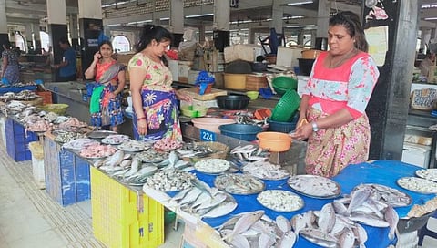 गोव्यात मासळीची आवक वाढली