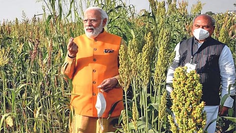 Millets : सरकारचे बाजरीसाठी कुठेपण, कधीपण, कायपण…