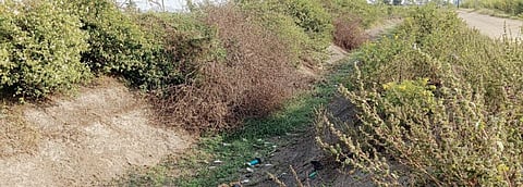 Pune : पिंपळगाव जोगा धरणाचा डावा कालवा फुटण्याची शक्यता