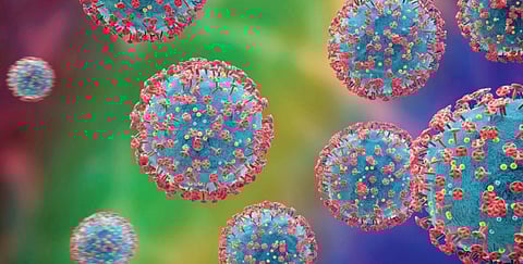 वर्षभरात इन्फ्लूएंझाचे आढळले 3235 रुग्ण; 29 जणांचा मृत्यू